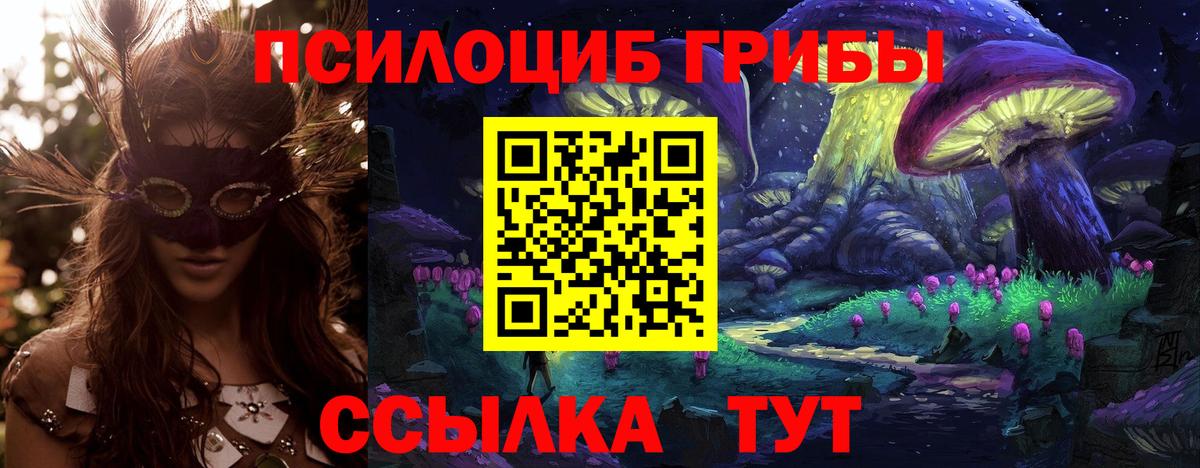 Псилоцибиновые грибы Psilocybine cubensis  Вход с VPN  Донецк 